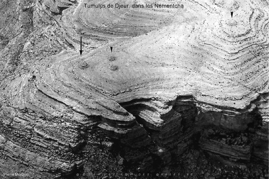 080 ARCHEOLOGIE AERIENNE_000008.jpg